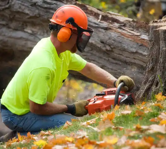 tree services Keeler Farm